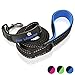Paw Lifestyles Extra Heavy Duty Dog Leash - 6ft Long - 3mm Thick, Soft Padded Handle for Comfort - Perfect Leashes for Medium and Large Dogs