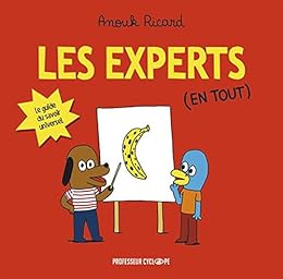 Les  experts (en tout)