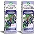 Nature's Way Original Sambucus Elderberry Syrup, Herbal Supplements, Gluten Free, Vegetarian, 8 Ounce Pack of 2 