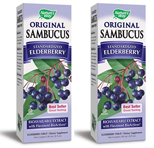 Nature's Way Original Sambucus Elderberry Syrup, Herbal Supplements, Gluten Free, Vegetarian, 8 Ounce Pack of 2 