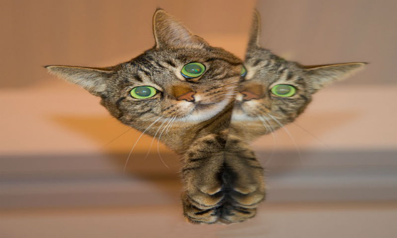 Touch Art: Mirror Image