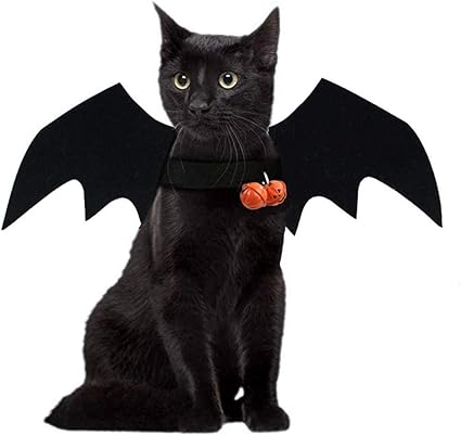 Costume De Chauve Souris Halloween Pour Chat Et Chien Amazon Ca Animalerie Costume De Chauve Souris Halloween Pour Chat Et Chien Amazon Ca Animalerie