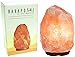 Rakaposhi Natural Himalayan Salt Rock Lamp w/ 6' UL Listed Dimmer Switch - 6-9 inch / 6-9lbs