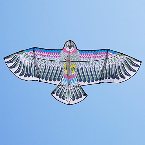 Besra 72inch 3D Eagle Bird Kite with Flying Tools Outdoor Fun Sports for Beach & Park (Eagle)