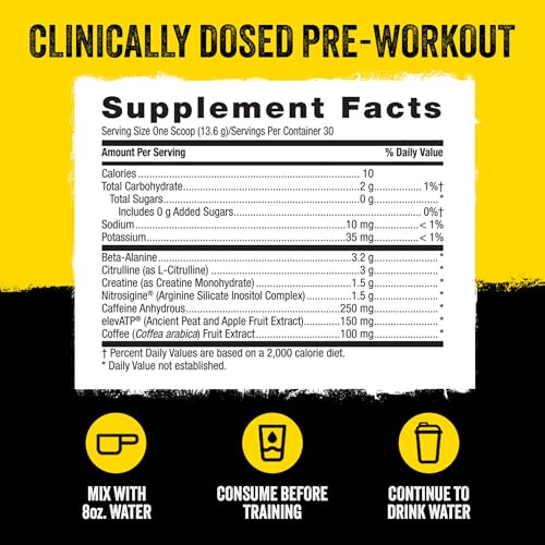 Beyond Raw LIT Pre-Workout - Fruit Punch (30 Servings)