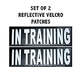 Doggie Stylz Set of 2 Reflective IN TRAINING Velcro Patches for Service dog harnesses & vests.