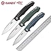 GANZO Firebird Pocket Folding Knife FH21 D2 Steel Blade G10 Handle with Clip Fishing Hunting Camping Outdoor EDC Knife (Grey)