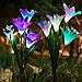 Solar Garden Stake Lights - 2 Pack Outdoor Solar Powered Lights with 8 Lily Flower, Multi-Color Changing LED Solar Decorative Lights for Garden, Patio, Backyard Decor (Purple & White)