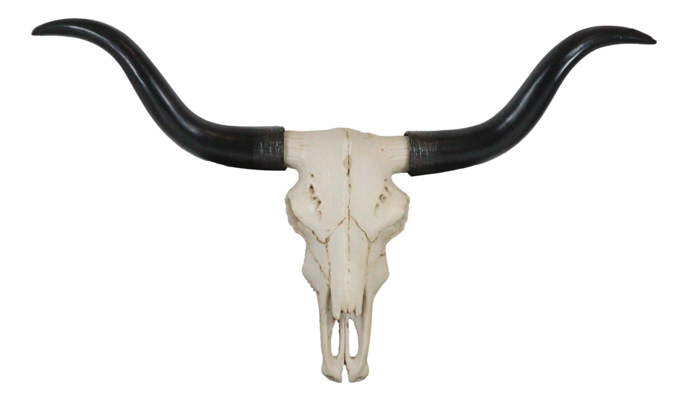 Photo 1 of Ebros Gift Texas Longhorn Steer Cattle Cow Skull Wall Mounted Hanging Plaque Figurine 21" Wide As Rustic Cabin Lodge Gothic Macabre Decor Of Cows Skulls Skeletons Hunters Outdoorsmen Trophy Statue