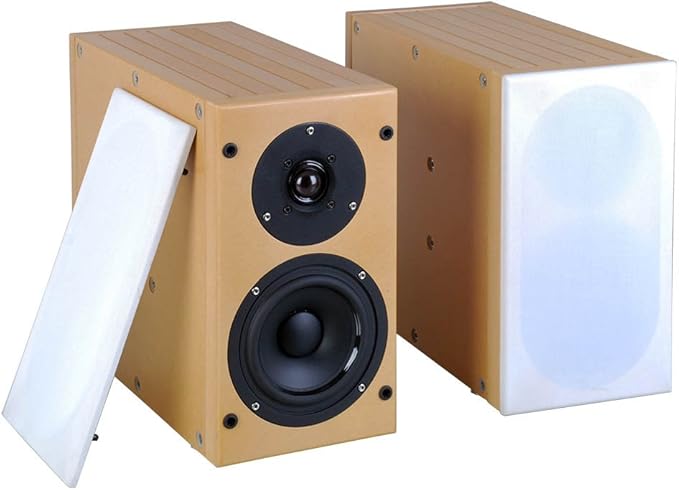 tang band speaker kit