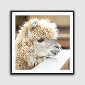 Framed Alpaca Home Artwork for Living Room Bedroom