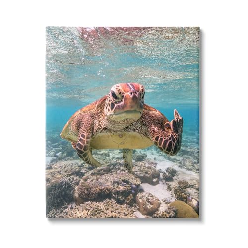 Stupell Industries Angry Turtle Middle Finger Canvas Wall Art by Mark Fitzpatri…