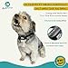 Anti Bark Collar Small to Medium Dog Rechargeable - Non Shock No Bark Device, Pain-Free, Safe, Ultrasonic Vibration - Dog Training Collars for Barking and Behavior - with USB Cord and Colorful Tags