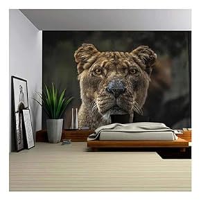 Wild Animal Lion - Removable Wall Mural | Self-Adhesive Large Wallpaper - 66x96 inches