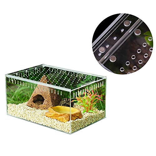 Biback Clear Reptile Breeding Box,Small Acrylic Terrarium Full View Visually with Sliding Design Feeding Box for Insect Reptiles Tarantulas Amphibians Lore Caterpillars Cricket Spider Snail Reptile - Thumbnail 5