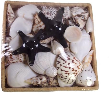 Black and White Shells with 2 Black Knobby Starfish in 6 Inch Square Bamboo Basket for Seashell Wedding Favors and Decorations