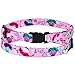 CollarDirect Cat Collar with Removable Bell Floral Pattern 2 Pack Set Flower Adjustable Safety Breakaway Collars for Cats Kitten