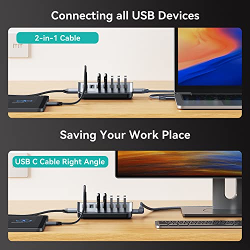 Yottamaster USB 3.0 Hub 7 Port, Powered USB Hub 5V / 3A, Type C to USB 3.2 Gen1 Data Hub with USBC to USBA Adapter for Laptop, iMac, Surface Pro, XPS, USB Flash Drives, Mobile HDD, and More(1.6ft)