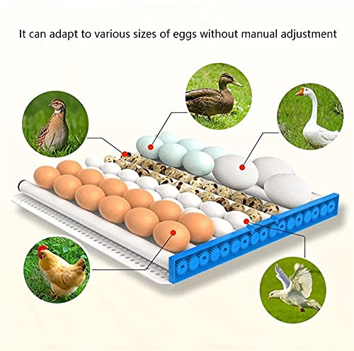 Hähnchen Eier Inkubator 320 Eier Mit Autom Wendung Bauernhof Brutmaschine Digital Brutapparat Geflügel Brüter Zum… – Bild 5