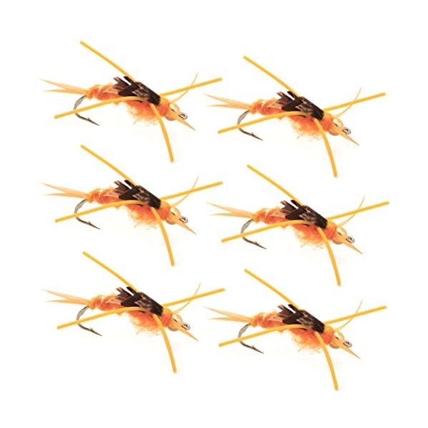 Bead-Head-Nymph-Fly-Fishing-Flies-Kaufmanns-Golden-Stone-Fly-with-Rubber-Legs-Stonefly-Wet-Fly-6-Flies-Hook-Size-8
