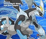 Pokemon Black2 White2