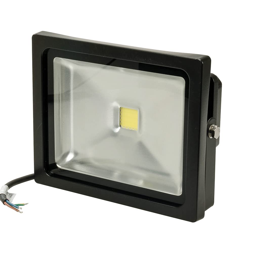 Silverline 669010 COB LED Floodlight 30W