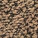 casa pura Carpet Entrance Mat, Beige/Black (Mottled) 16