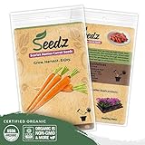Organic Carrot Seeds (APPR. 1,550) Carrot Planting Seeds - Heirloom Vegetable Seeds - Certified Organic, Non-GMO, Non Hybrid - USA