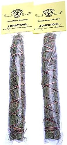Native American Indian Fluorescent Ranch & Praire Falcon Four Directions 7" Incense Smudge Wand Stick