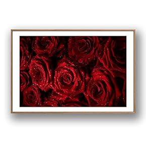 Framed Canvas Wall Art for Living Room, Bedroom Rose Flowers Canvas Prints for Modern Home Decoration Ready to Hang - 16"x24" inches