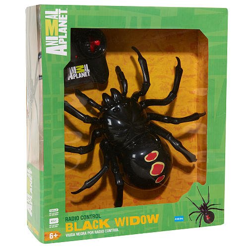 Animal Remote Control Black Widow Buy Online in UAE. Toys