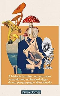 Livro a história termina com um carro vazando óleo no fundo do lago de um pesque-pague abandonado