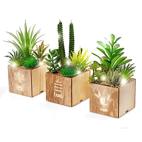 BEGONDIS Set of 3 Artificial Succulents with Led Lights in Wooden Box