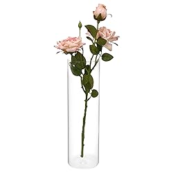Fixwal Flower Vases, 12" H x 3.5" W, Clear Glass