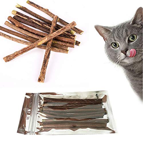 Cat Toys - 20pcs Cat Cleaning Tooth Natural Catnip Pet Molar Toothpaste Stick Actinidia Fruit Silvervine Snack - Fiddle Guy Computed Axial Tomography Dog Vomit Play Retch Diddle