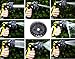 Garden Hose Nozzle – Garden Sprayer Attachment with 8 Different Water Spray Patterns for High Pressure and Heavy Duty Use (5 Pieces Set)