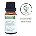 Basil Essential Oil by Simply Earth - 15 ml, 100% Pure Therapeutic Grade