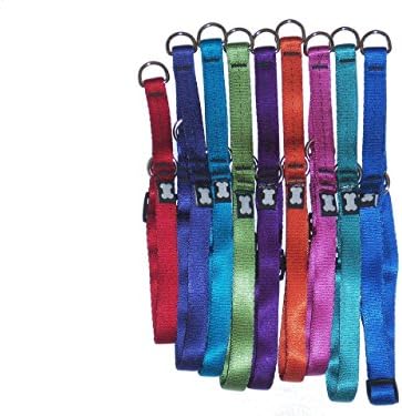 Mes Amis Small 1/2" X 12-18" Limited Slip Collar (Royal Blue)