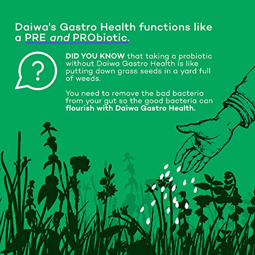 Daiwa Gastro Health Natural Digestion Aid Supplements for Digestive
