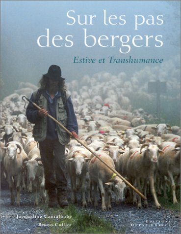 Sur les pas des bergers