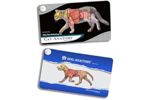BLUE TREE PUBLISHING Dog and Cat Set, Veterinary Anatomy Pocket Charts, Anatomy & Veterinary Physiology Canine & Feline Workbook -36 Pages - 5." x 3" - for Vet Nurses and Students