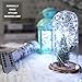 Fairy Lights Plug in, USB White Twinkle Lights USB Led String Lights 33Ft 100LEDs White Christmas Lights, Led Christmas Lights with Dimmable Remote for Bedroom Wedding Party Halloween(Daylight White)