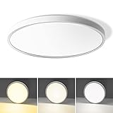 LHKNL 12 Inch Flush Mount Ceiling Light- 24W- Ultra