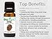 BioFinest Pine Oil - 100% Pure Pine Essential Oil - Premium Organic - Therapeutic Grade - Best For Aromatherapy - Improve mood - Heighten Awareness - FREE E-Book (10ml)