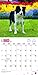 Border Collies 2017 Square