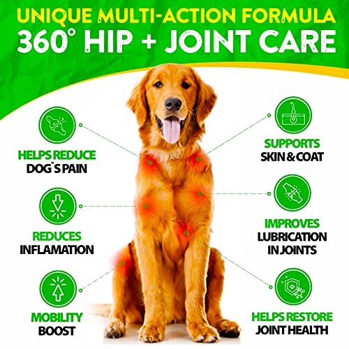 FurroLandia Hemp Hip & Joint Supplement for Dogs 170 Soft Chews