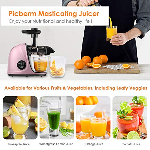 Juicer Machines, Picberm PB2110V Slow Masticating Juicer Extractor with Quiet Motor Easy to Clean, BPA-Free Cold Press Anti-clogging Juicer with Peeler, Brush & Recipes for Fruits and Vegetables, Rose Gold - Thumbnail 5
