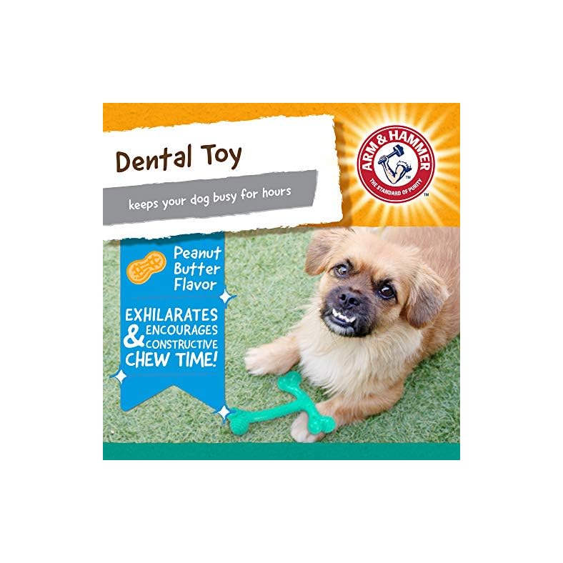 Arm & Hammer OraPlay TBone Dental Chew Toy for Dogs Best Dog Chew