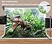 MEETS 7x5ft Jurassic Park Backdrop Dinosaur Green Plant Photography Background Themed Party Photo Booth YouTube Backdrop GEMT886 ...