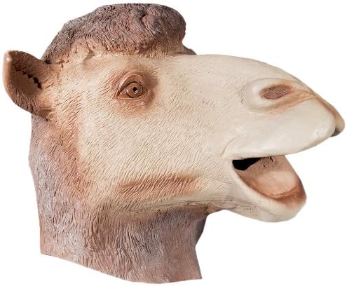 amazon camel camel